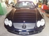 Bild von Mercedes Benz SL 500